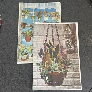 2 Houseplant Vtg MCM SUNSHINE CARD CO. Greeting Cards Birthday Get Well Cottagec